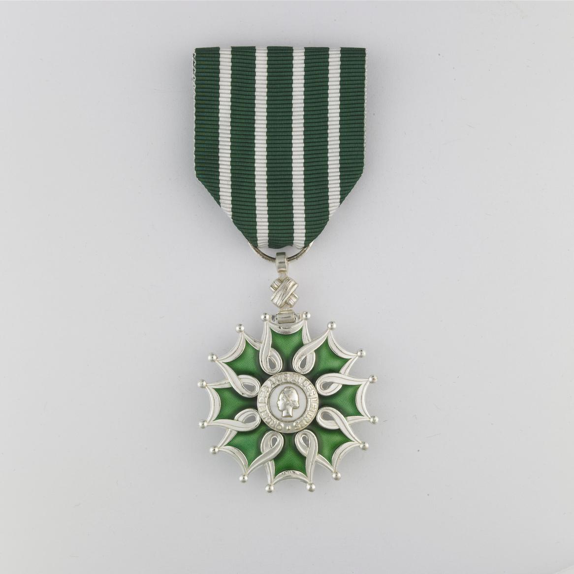 Médaille militaire ou civile : lexique complet • Montage de médailles